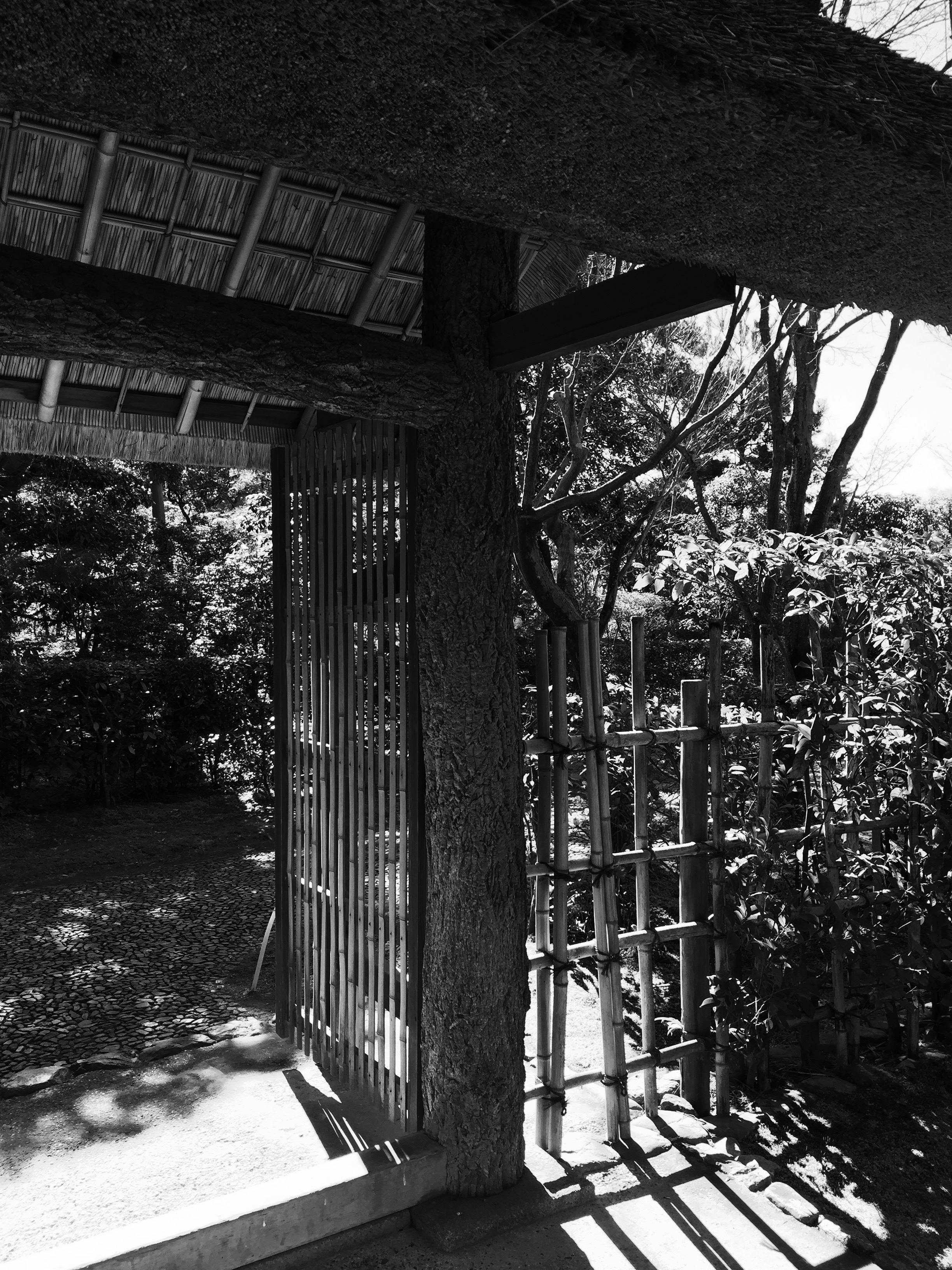 桂離宮 | Gallery SanKaiBi